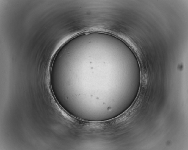 X0000100961294200807011323