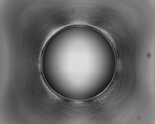 X0000100961295200807011323