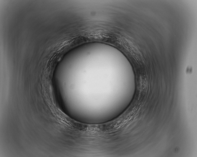 X0000100961297200807011322