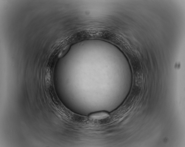 X0000100961298200807011322