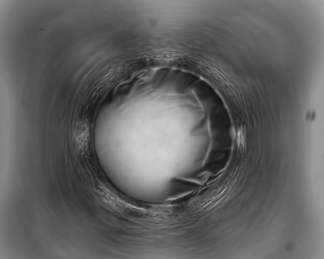 X0000100961299200807011322