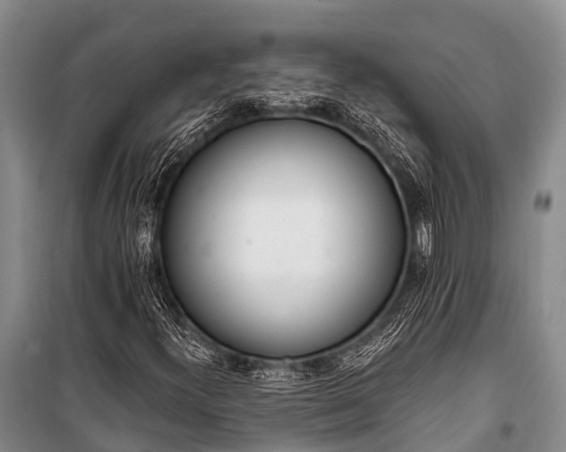 X0000100961300200807011322