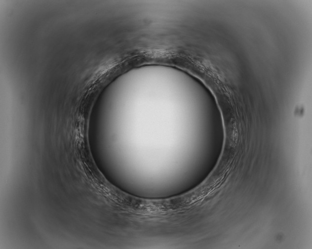 X0000100961301200807011322