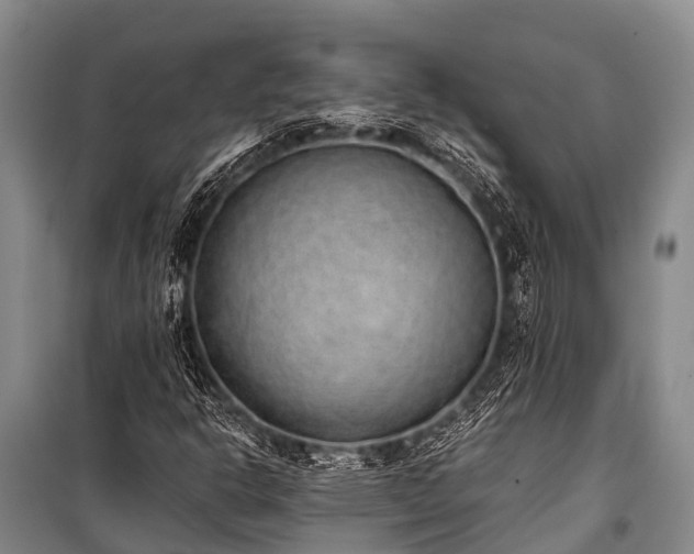 X0000100961302200807011322
