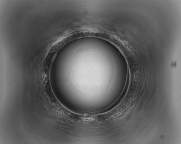 X0000100961303200807011322