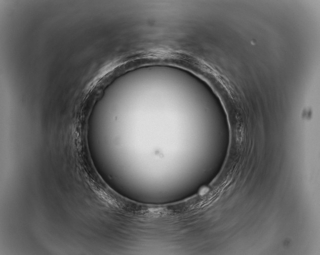 X0000100961304200807011322