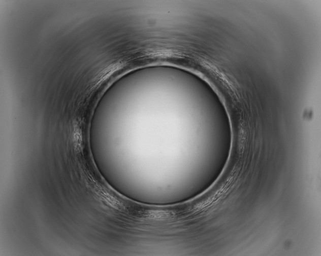 X0000100961305200807011322