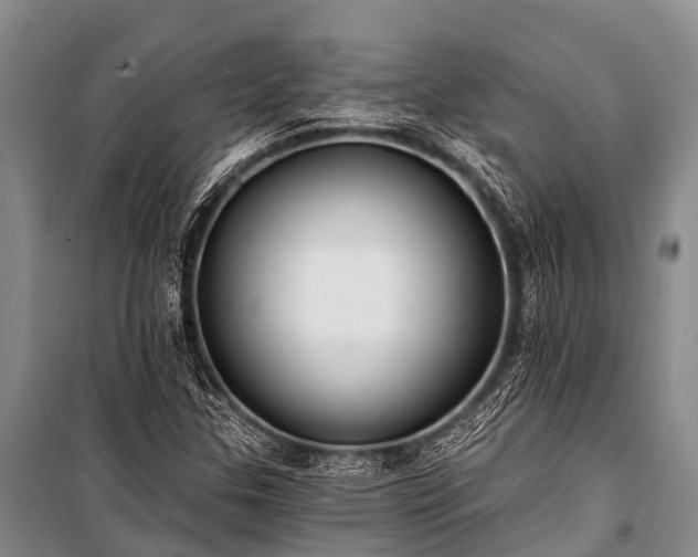 X0000100961307200807011322