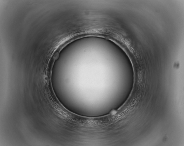 X0000100961308200807011322