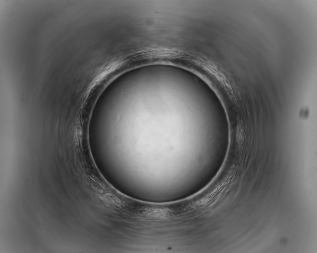 X0000100961309200807011323
