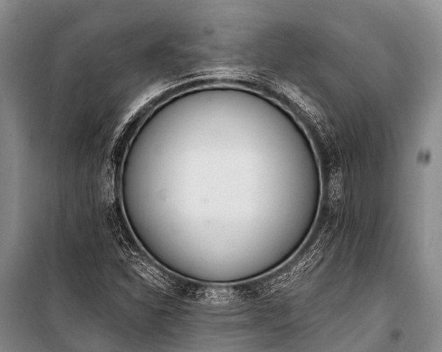 X0000100961310200807011323