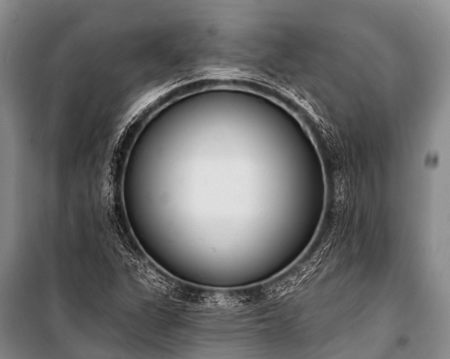 X0000100961311200807011323
