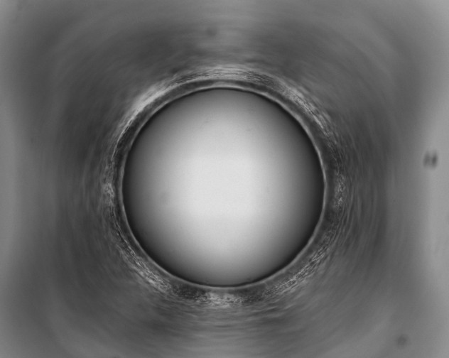 X0000100961312200807011323