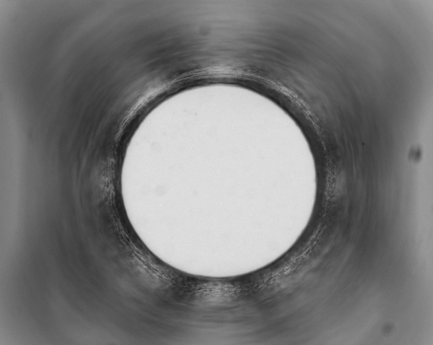 X0000100961314200807011323