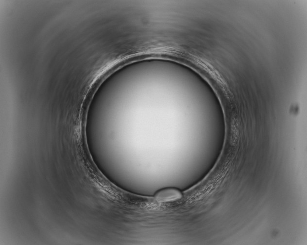 X0000100961316200807011323