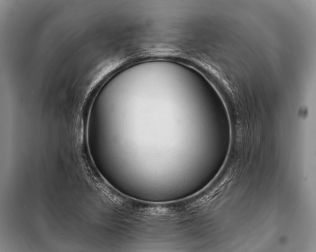 X0000100961317200807011323