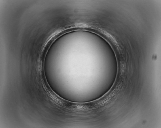 X0000100961318200807011323