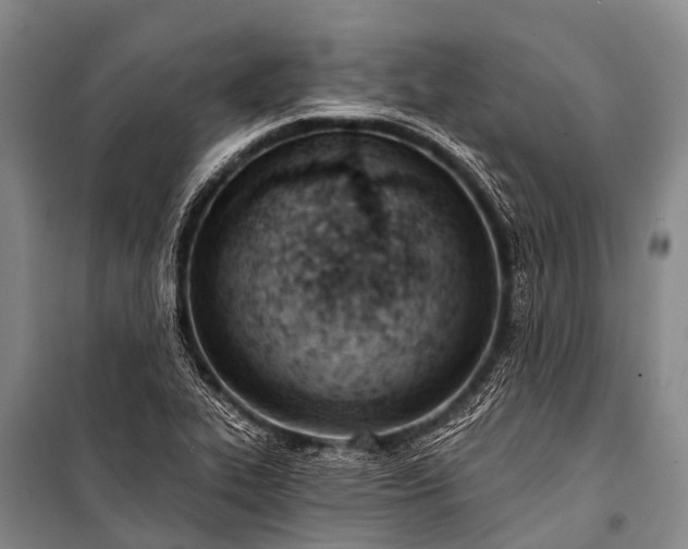 X0000100961319200807011323