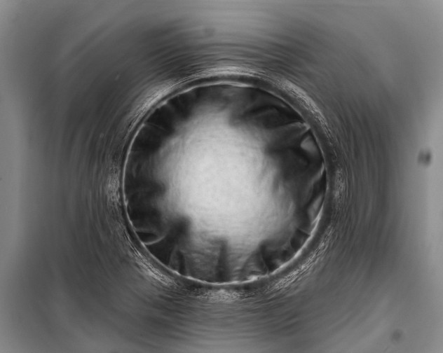 X0000100961321200807011323