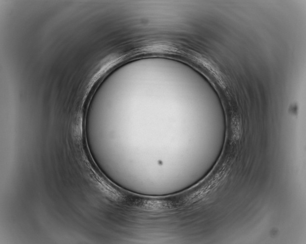X0000100961322200807011323
