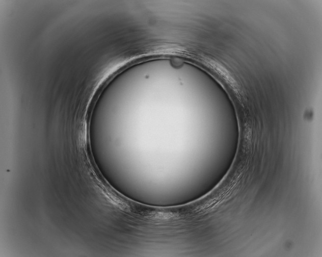 X0000100961324200807011323