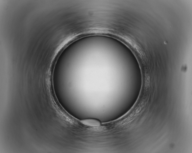 X0000100961325200807011323