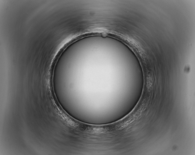 X0000100961326200807011323