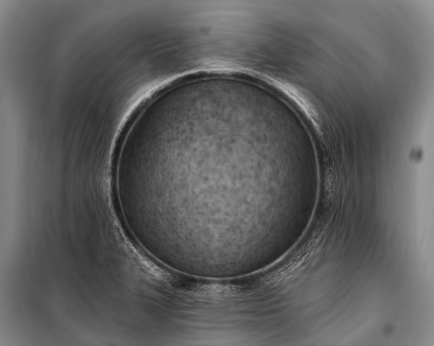X0000100961327200807011323