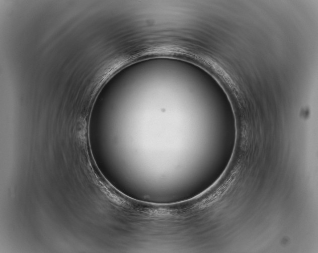 X0000100961329200807011323