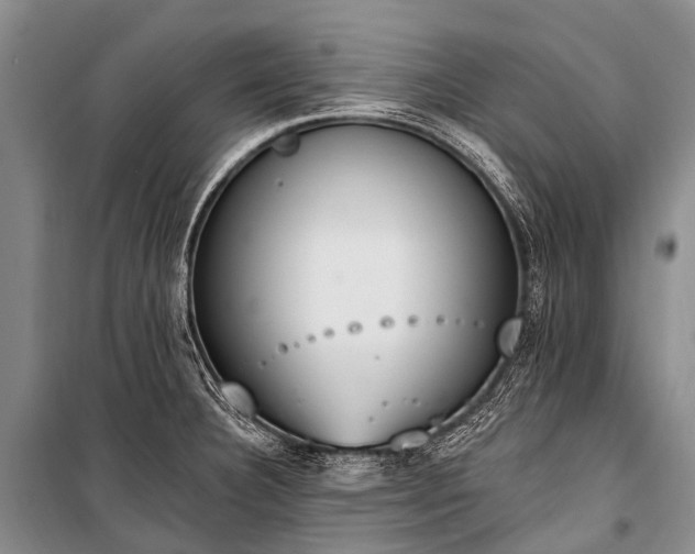 X0000100961332200807011323
