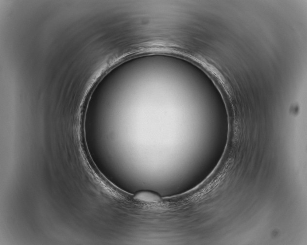 X0000100961333200807011323