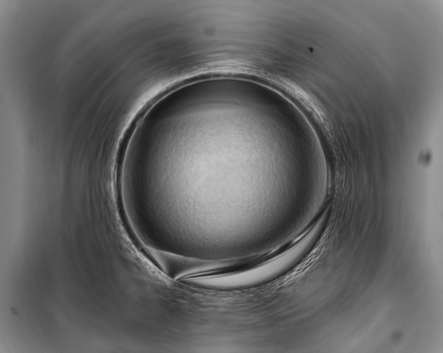X0000100961334200807011323