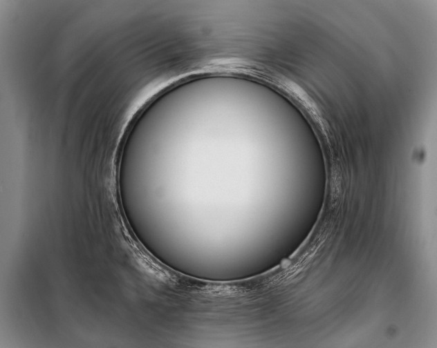 X0000100961336200807011323