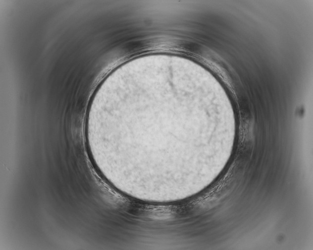 X0000100961338200807011323