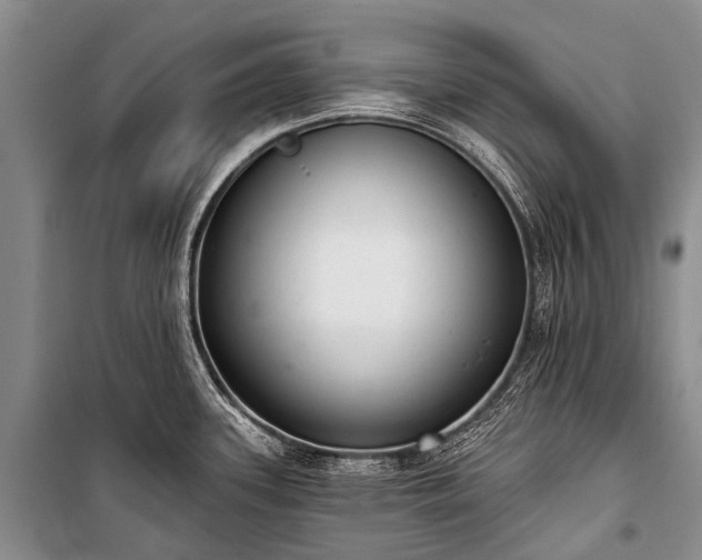 X0000100961339200807011323