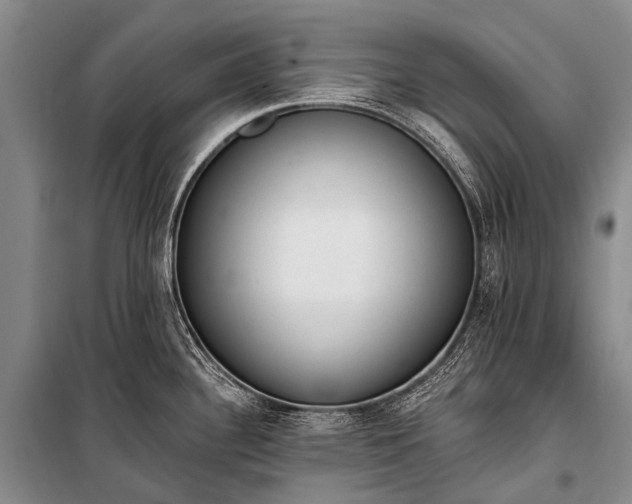 X0000100961340200807011323