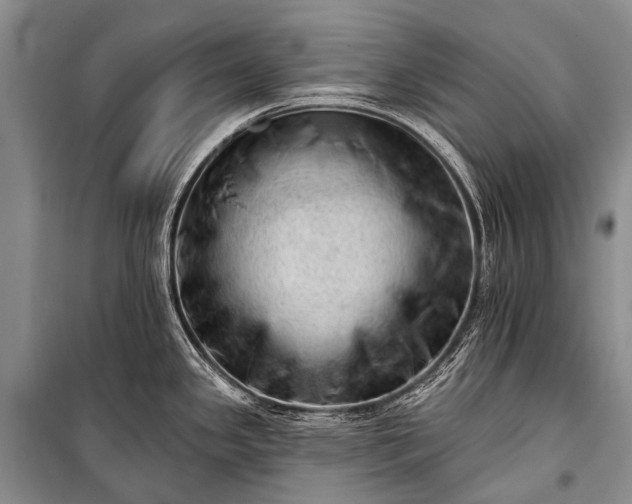 X0000100961341200807011323
