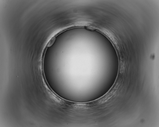 X0000100961342200807011323