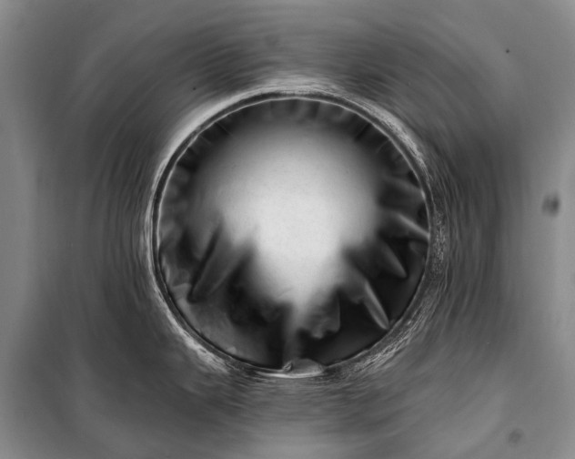 X0000100961343200807011323