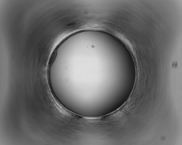 X0000100961344200807011323