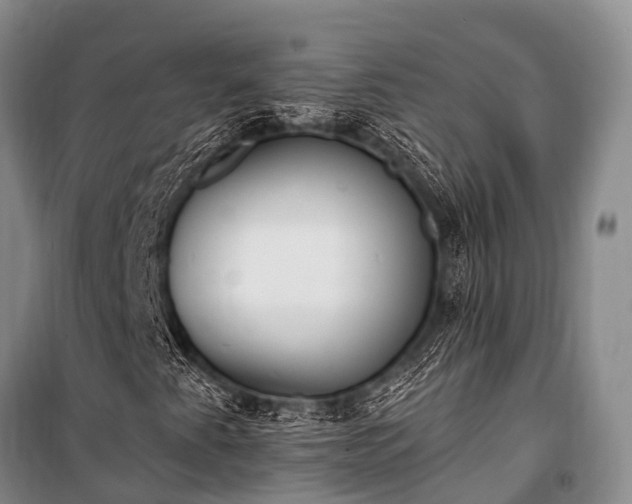X0000100961345200807011322