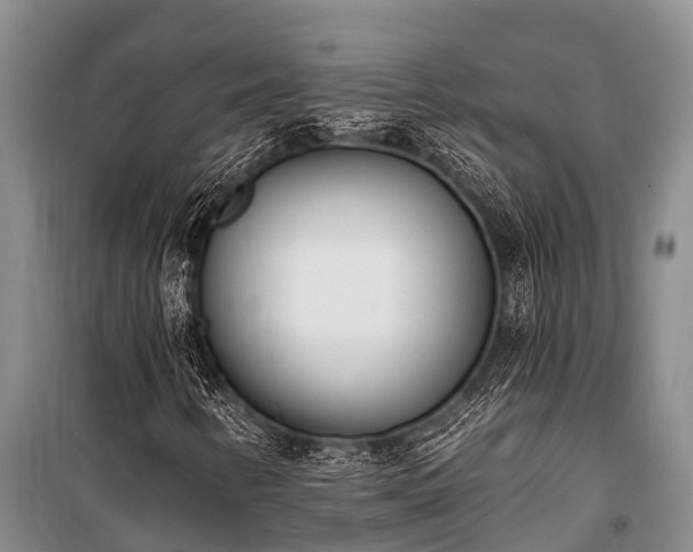 X0000100961346200807011322