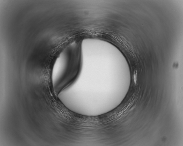 X0000100961347200807011322