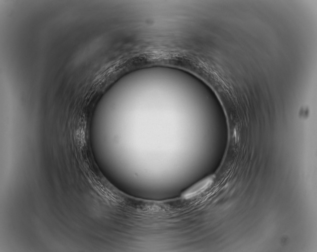 X0000100961348200807011322