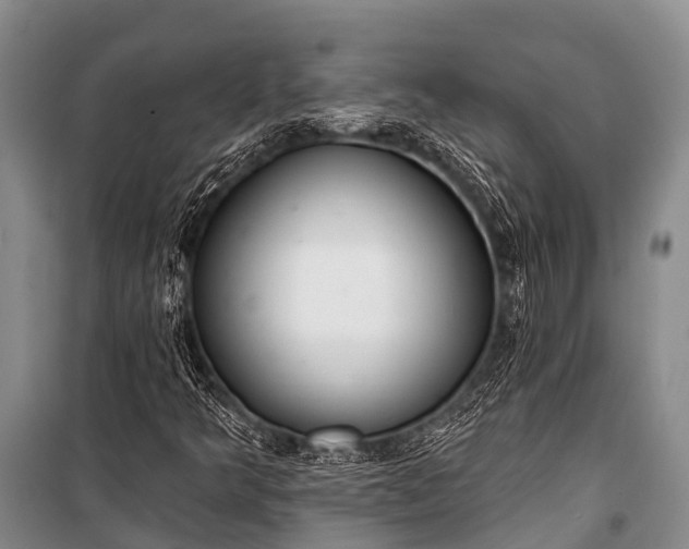 X0000100961349200807011322