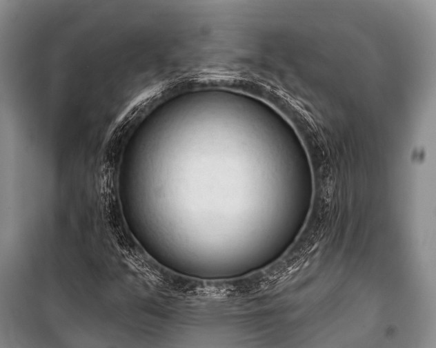 X0000100961351200807011322