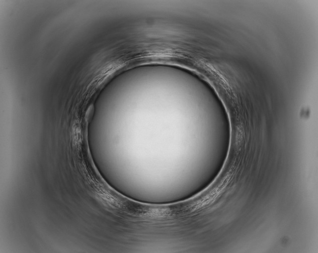 X0000100961353200807011322