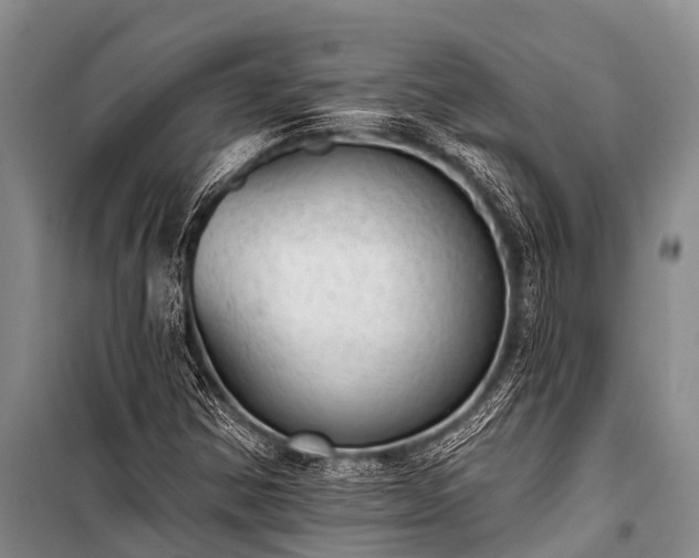 X0000100961354200807011322