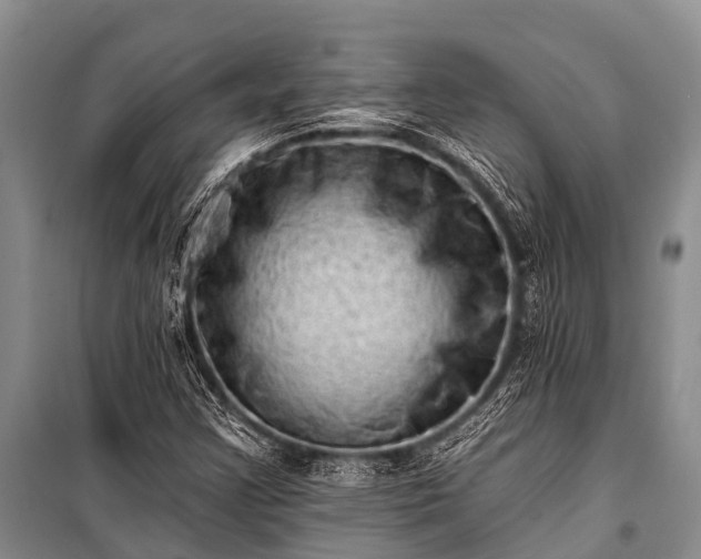 X0000100961355200807011322