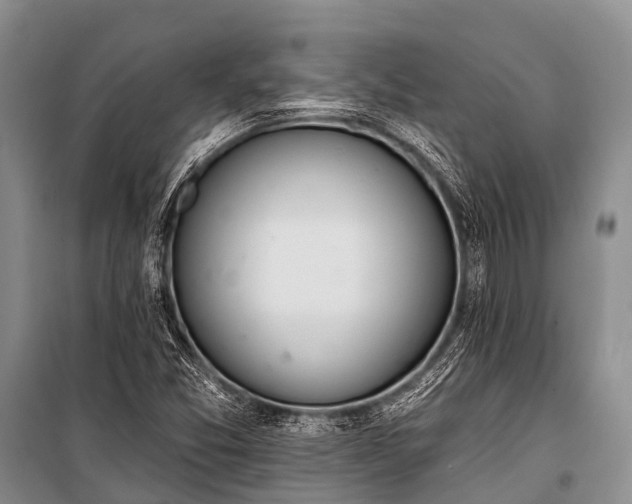X0000100961357200807011322